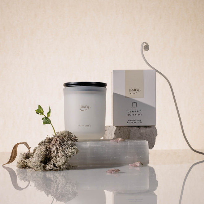 EXCLUSIVE room fragrance refill santal blanc – IPURO